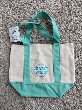 Mini Canvas Tote Bag in Mint